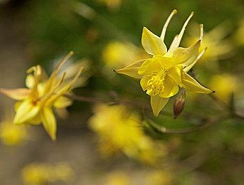 《暗影火炬城》推出全新宣传片 游戏好评发售中